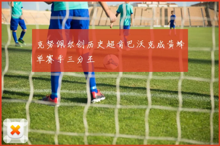 克努佩尔创历史超肯巴沃克成黄蜂单赛季三分王