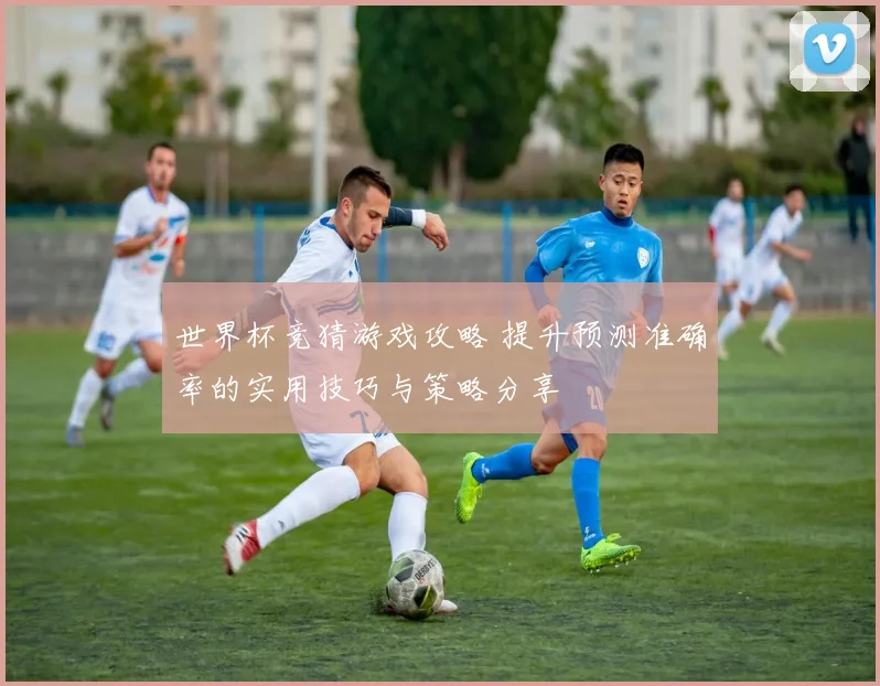 世界杯竞猜游戏攻略 提升预测准确率的实用技巧与策略分享