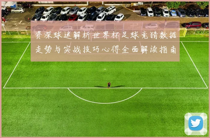 资深球迷解析世界杯足球竞猜数据走势与实战技巧心得全面解读指南